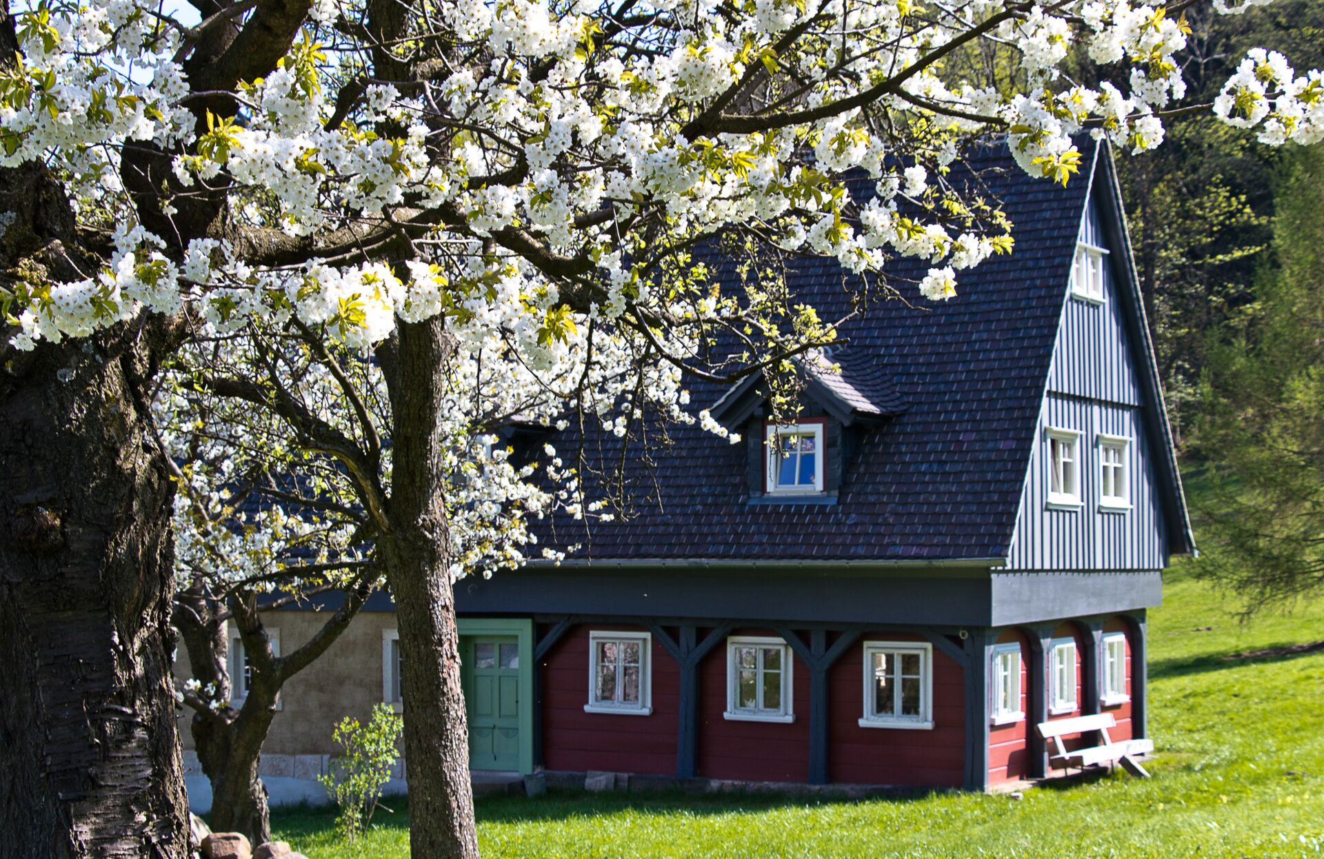 Historisches Umgebinde während der Obstbaumblüte - Foto: Dieter Weise
